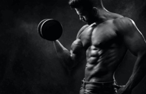 workout plan in bay area